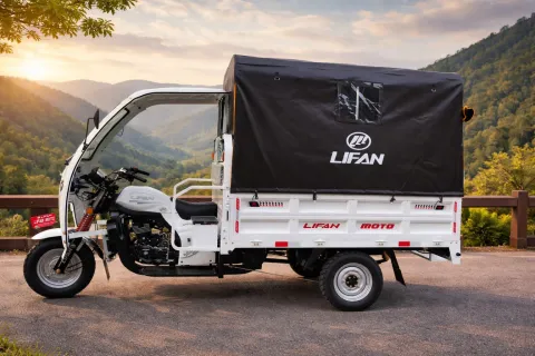 Lifan 300 CC